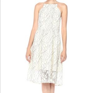 Kenzie lace dress NWT